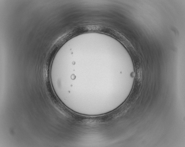 X0000115830733200912111312