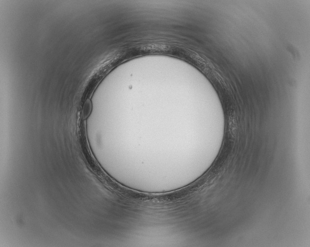 X0000115830735200912111312