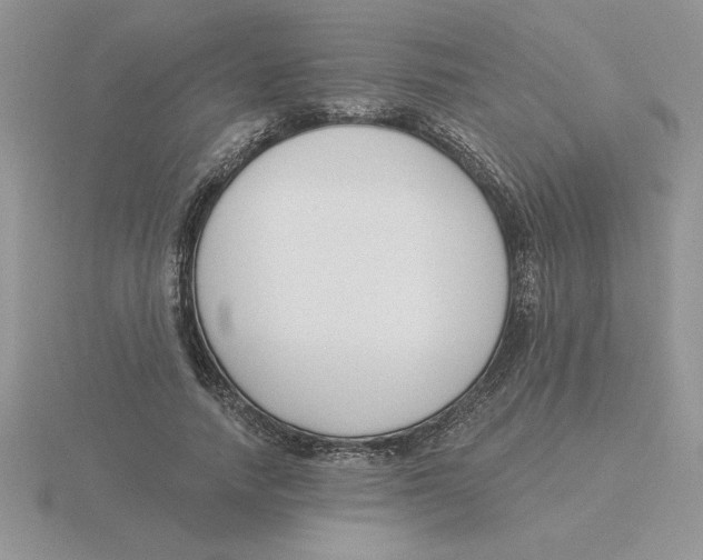 X0000115830738200912111312