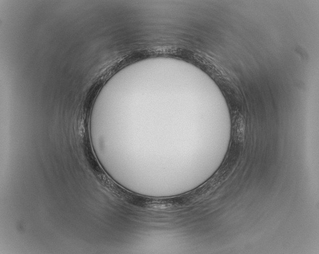 X0000115830746200912111312