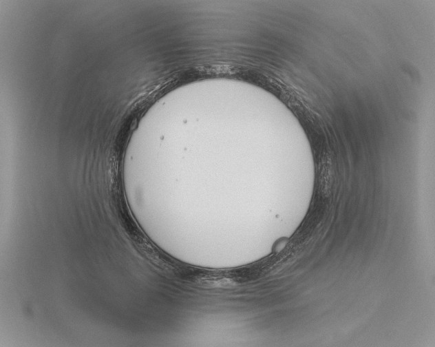 X0000115830747200912111312