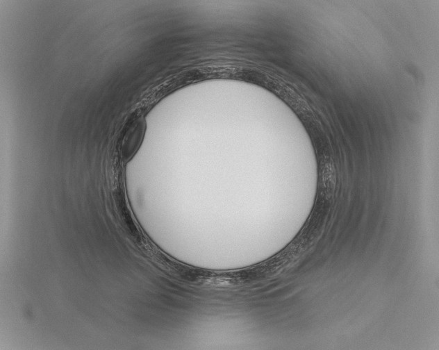 X0000115830751200912111312