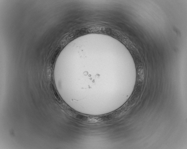 X0000115830753200912111312