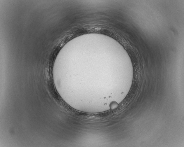 X0000115830755200912111312