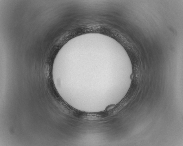 X0000115830758200912111312