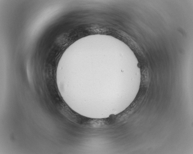 X0000115830762200912111312