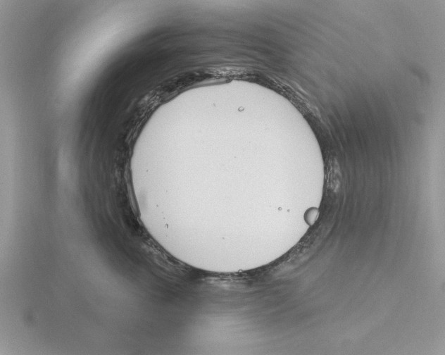 X0000115830763200912111312