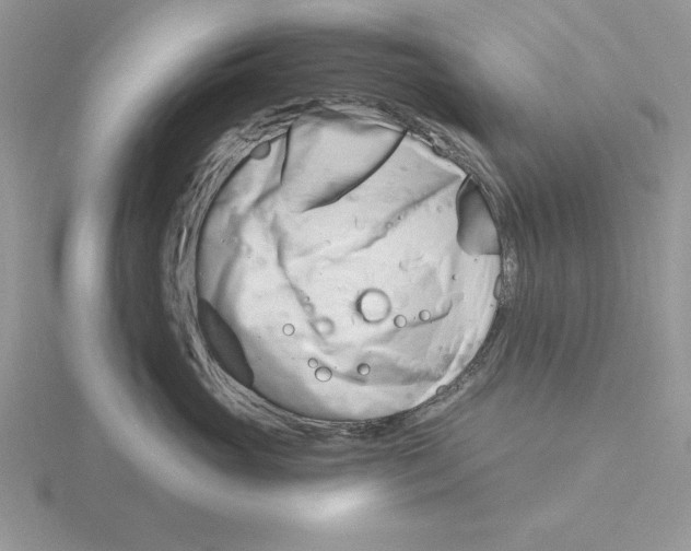 X0000115830765200912111312