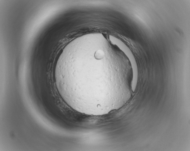 X0000115830766200912111312