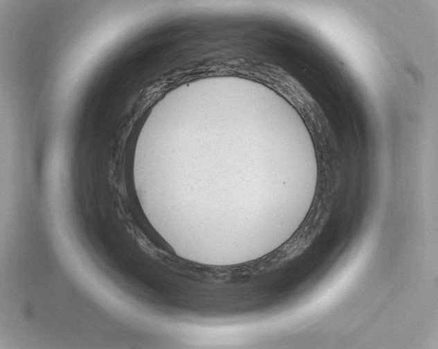 X0000115830767200912111312