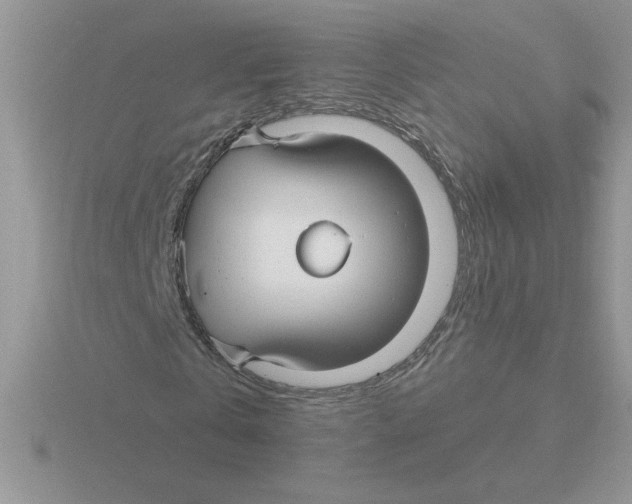 X0000115830769200912111312