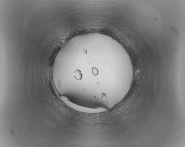 X0000115830772200912111312