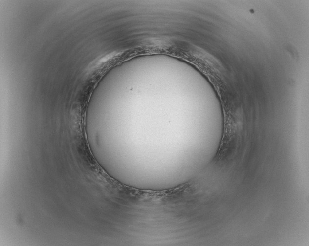 X0000115830773200912111312