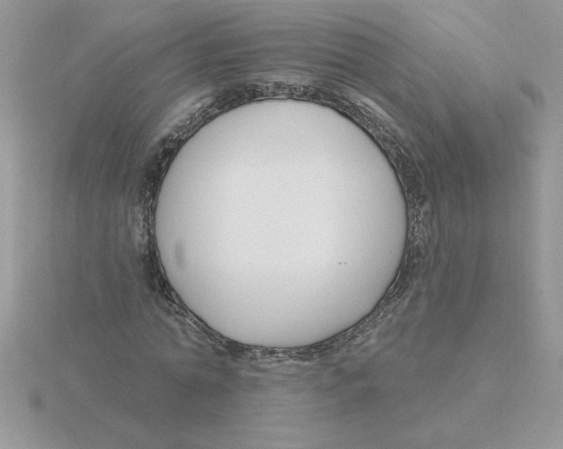 X0000115830774200912111312