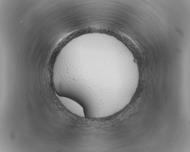 X0000115830776200912111312