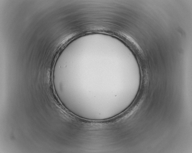 X0000115830777200912111312