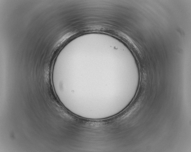 X0000115830778200912111312