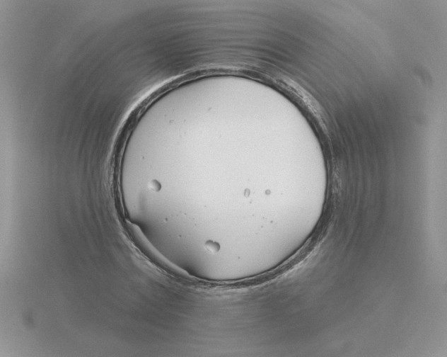 X0000115830779200912111312