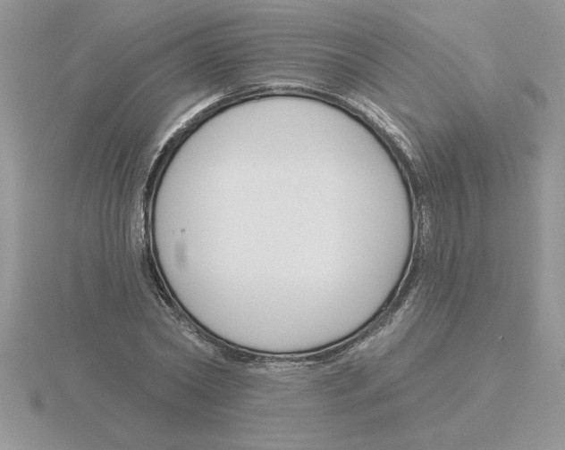 X0000115830782200912111311