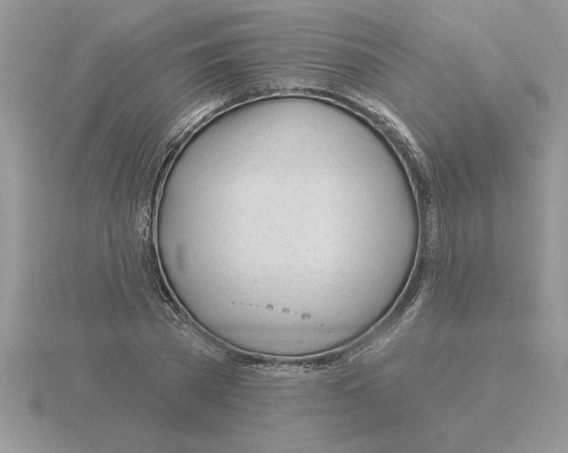 X0000115830785200912111311