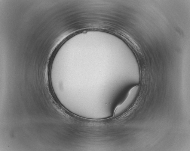 X0000115830788200912111311