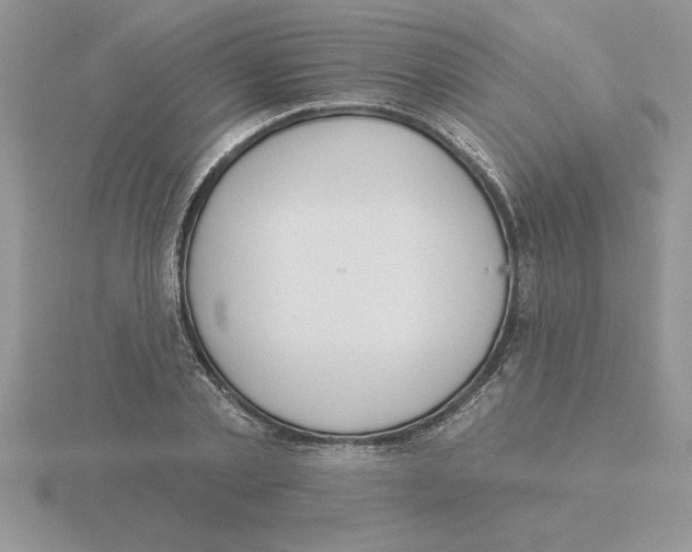 X0000115830789200912111311