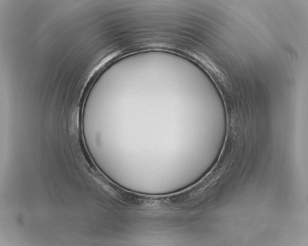 X0000115830790200912111311