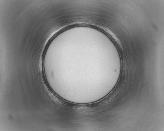 X0000115830791200912111311