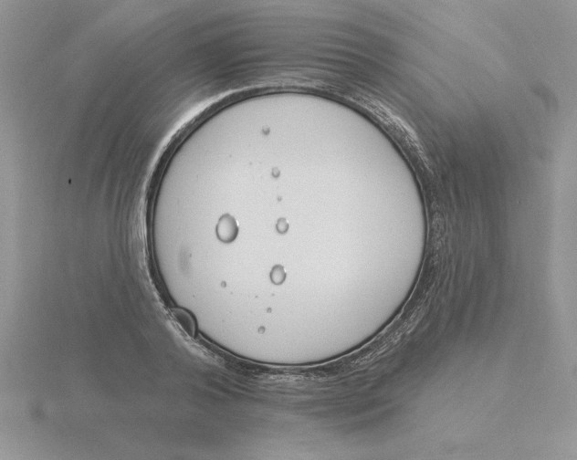 X0000115830792200912111311