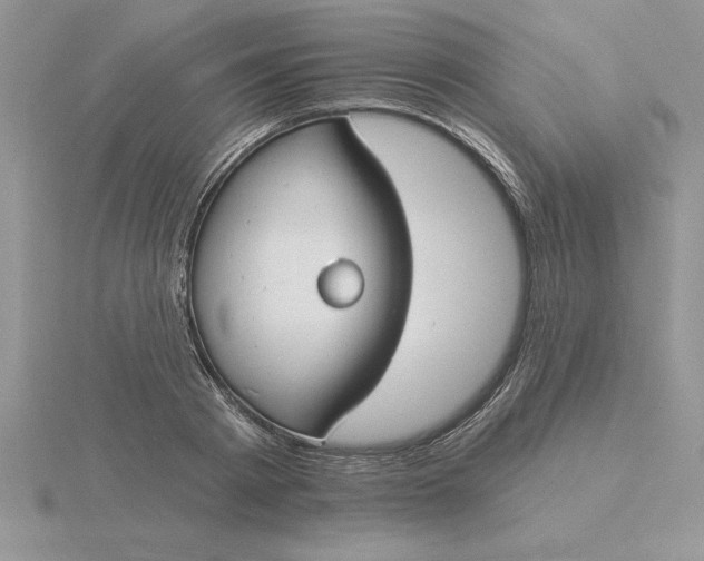 X0000115830793200912111311