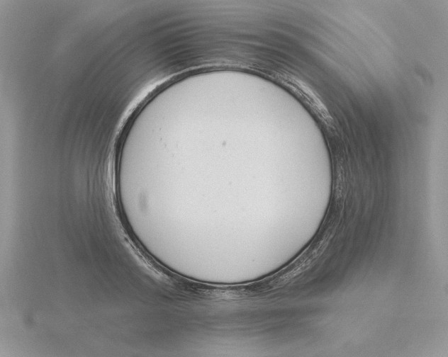 X0000115830796200912111311