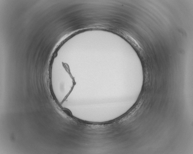 X0000115830800200912111311