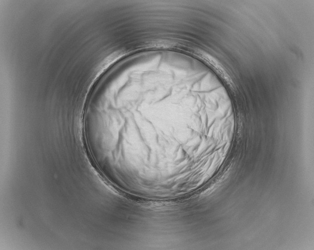 X0000115830802200912111311