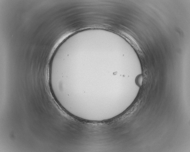 X0000115830804200912111311