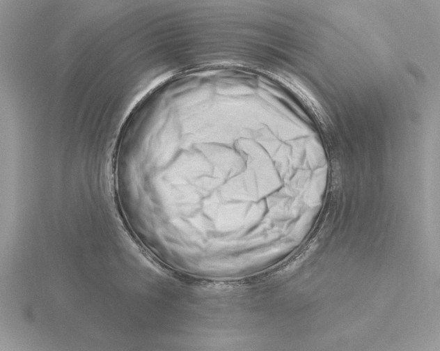 X0000115830806200912111311