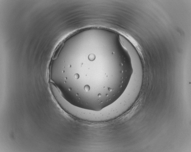 X0000115830807200912111311