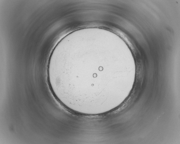 X0000115830810200912111311