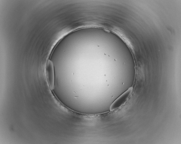 X0000115830813200912111311