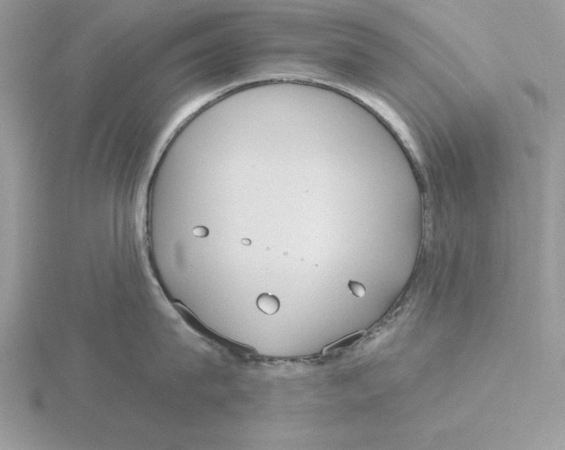 X0000115830815200912111311