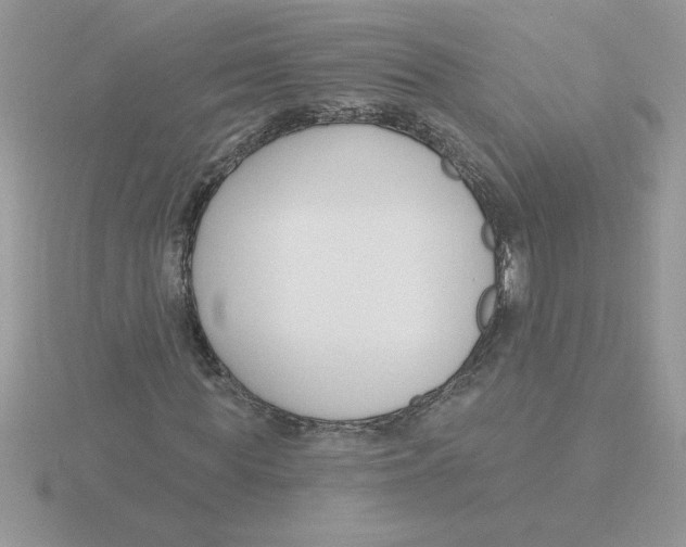 X0000115830819200912111310