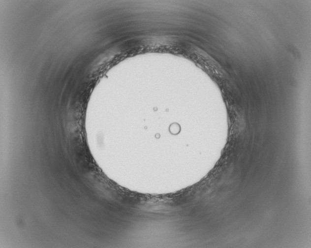 X0000115830824200912111310