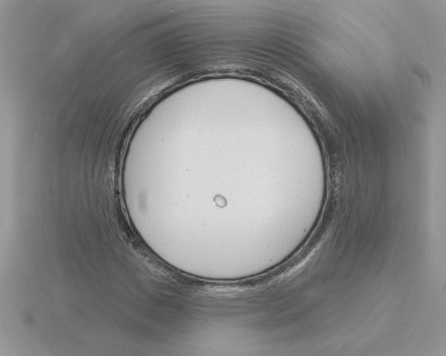 X0000115830825200912111310