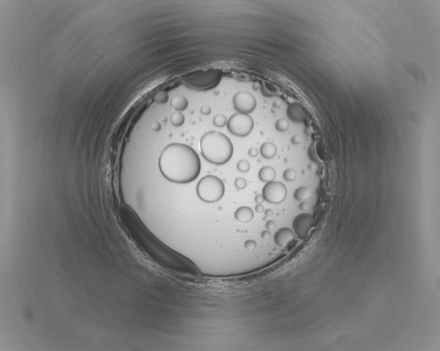 X0000115830827200912111310