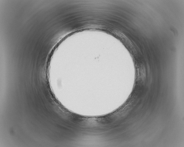 X0000115830828200912111310