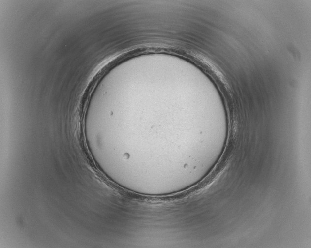 X0000115830829200912111310