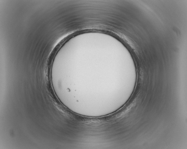 X0000115830830200912111310