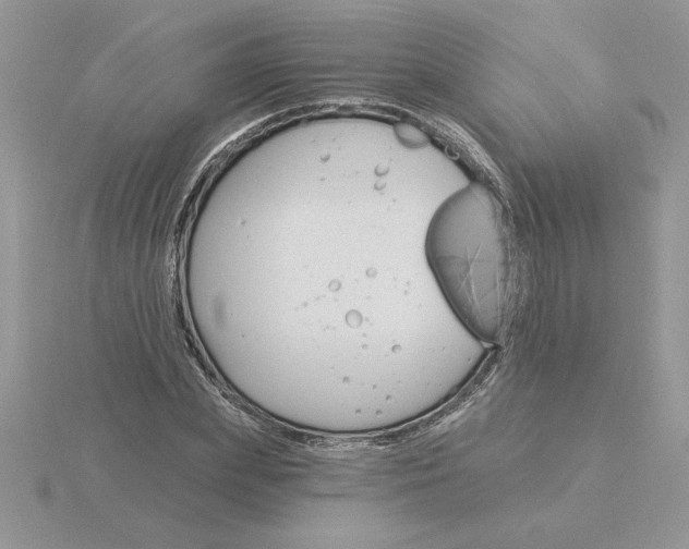 X0000115830831200912111310