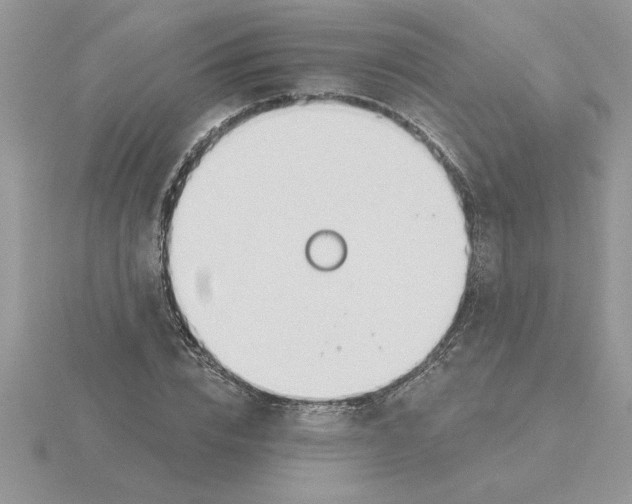 X0000115830832200912111310