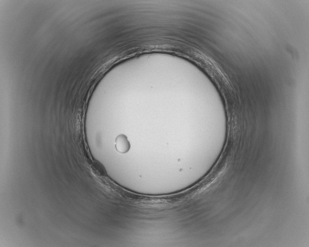 X0000115830833200912111310