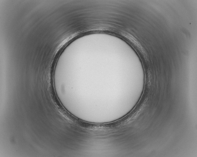 X0000115830834200912111310